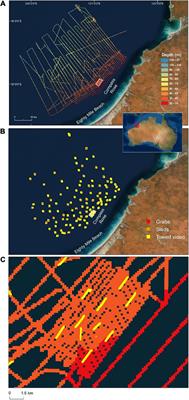 Distribution of the Pearl Oyster Pinctada maxima off Eighty Mile Beach, Western Australia